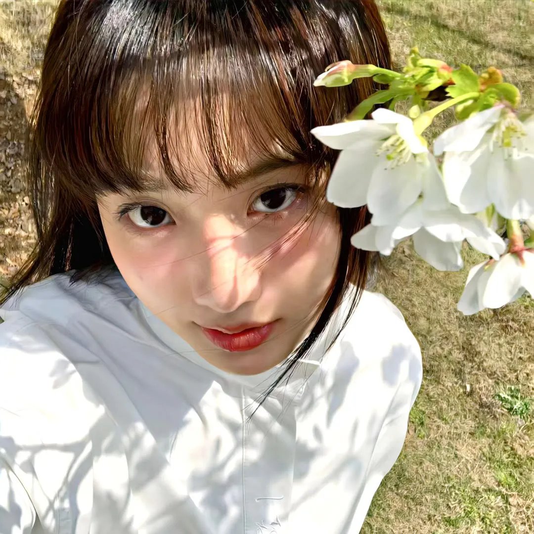 菲丽希缇