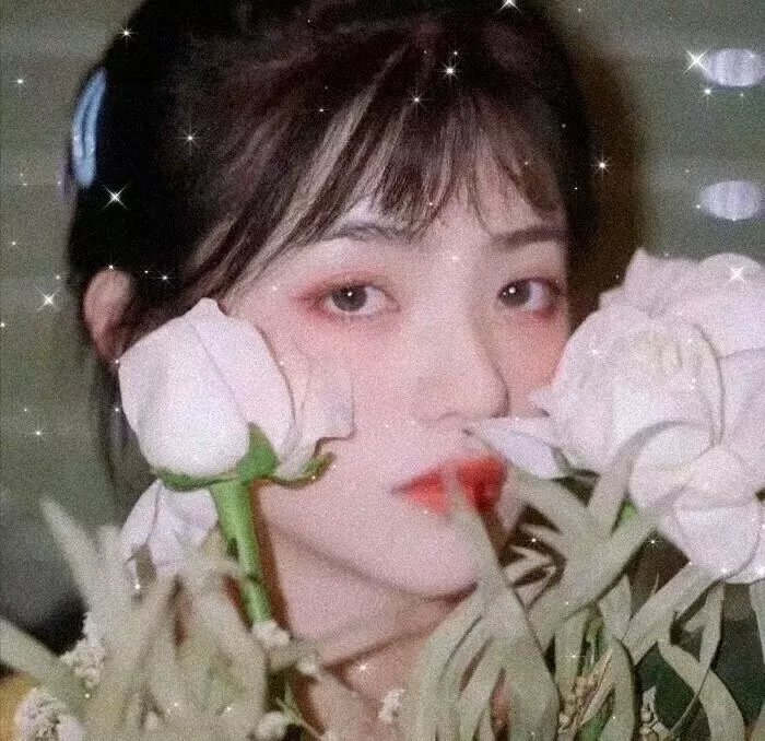玻璃之花与坏掉的世界